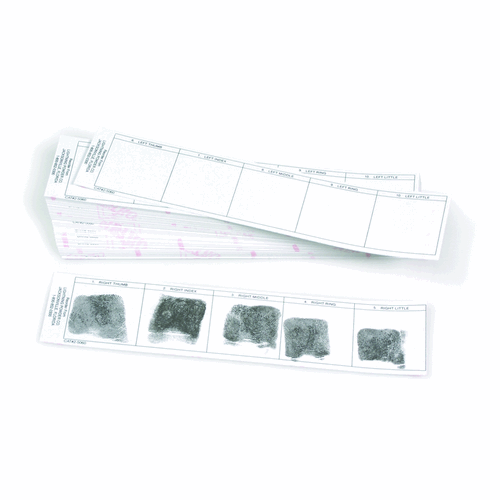 Post-Mortem Card Strips (non-adhesive)