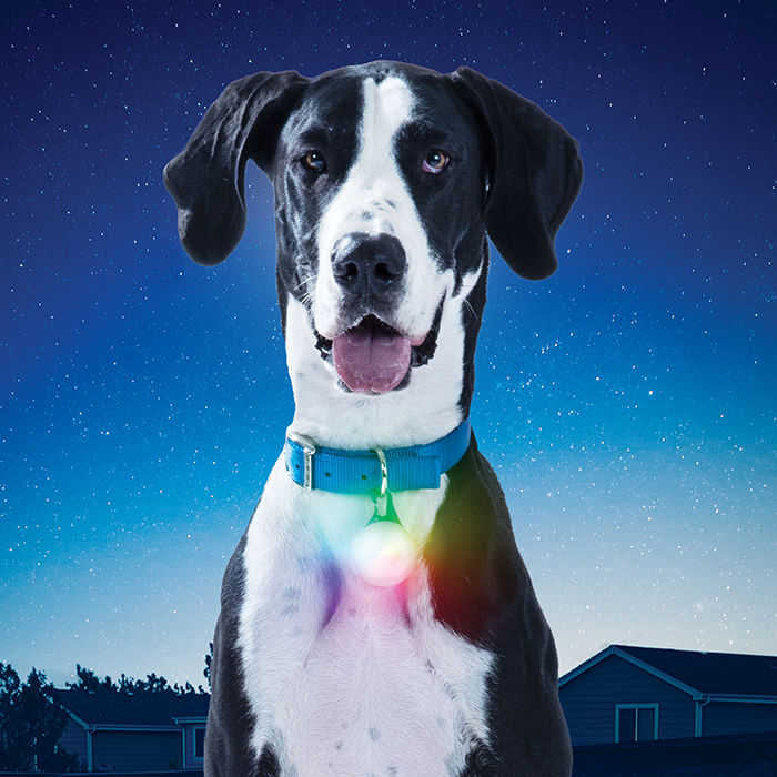 SpotLit XL Rechargeable Collar Light