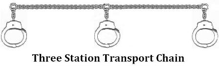 3-Station Half Cuff Transport Chain
